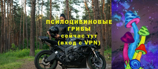 не бодяженный Надым